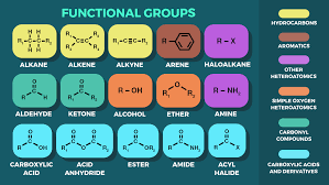 Overview of common functional groups - Labster