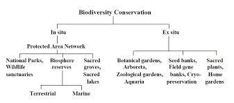 Vegetables after project and before. The In Situ And Ex Situ Approaches Of Conserving Biodiversity In India Download Scientific Diagram