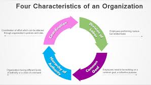 Run the show by pressing shift f5 and click. The Simplest Way To Create Circular Arrows In Powerpoint The Slideteam Blog