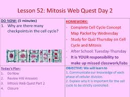 Mitosis and meiosis webquest answers part b, meiosis webquest answer key integ ro, mitosis answer key worksheet perfect docs, mitosis meiosis webquest 1 answer key destiny status, meiosis pogil answer key joomlaxe com, mitosis and meiosis part b volume 145 1st edition, leaf. Lesson 51 Mitosis Web Quest Day 1 Ppt Download