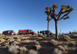 Rangers work for no pay to keep Joshua Tree National Park open ...