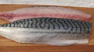 How To Fillet A Mackerel And Cook It In Real Time Mackerel Mackerel Recipes Mackerel Fillet Recipes King Mackerel