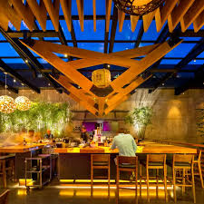 Image result for Denekia