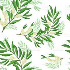 Tea Tree Branch Pattern With Flowers And Leaves Malaleuca Or Tea Composition Design Tree Images Tree Designs