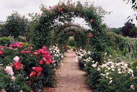 Poor Boy Takes Care of Grandma's Garden after Her Death, Finds Dozens of  Stashes Buried There – Story of the Day