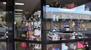 Luxury dog boutique, we offer the best selection of designer dog clothes, carriers, collars, dog beds, toys, and all types of unique apparel and accessories. Hervey Bay Business Trendy Petz The Courier Mail