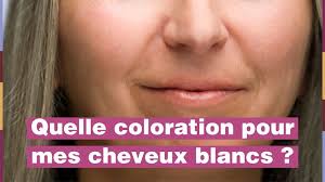 Détourner un produit pour cheveux blancs », dit delphine courteille, coiffeur. Quelle Coloration Pour Masquer Mes Cheveux Blancs