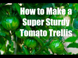 Taking the diy approach could, however, offer a range of rewards. 3 Inexpensive Tomato Supports How To Make A Super Sturdy Tomato Trellis Youtube