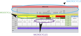 Perch Periodization And Programming With Vbt