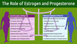 Other Hormones The Role Of Estrogen And Progesterone Infographic Jpg 1500 872 Progesterone Hormones Bioidentical Hormones