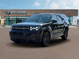 Image result for Phantom Black 2025 Santa Cruz