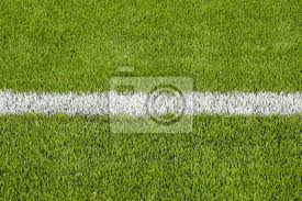 Zu unserem leistungsumfang gehört auch das anbringen der beschilderung mit wetterfesten, geprägten und farbigen aluplättchen genietet oder geschraubt. Die Weisse Linie Markierung Auf Dem Kunstlichen Grunen Gras Fussballfeld Leinwandbilder Bilder Strafe Astroturf Liga Myloview De
