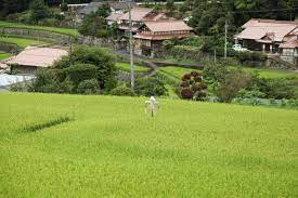 田舎でのんびり過ごしたい！あなたに贈る美しい日本の田舎の風景 日本の里山の風景 | JAPAN WEB MAGAZINE