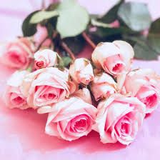 Rose Water Key Characteristics Benefits And Uses In Beauty And Skincare How To Identify Pure Rose Water And Rose Water Benefits Best Rose Water Rose Water