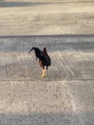 Abigail Diskin (@theWisdomShop)