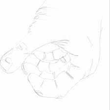Blind drawing game picture examples with story or directions : Blind Contour Drawing A Classic Drawing Exercise