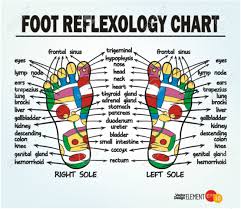 Foot Reflexology Chart Vector Illustration