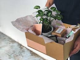 We've collected some amazing examples of product packages created by our global community of designers. Sustainable Packaging Keeping It Green Noissue