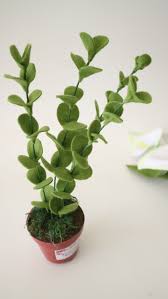 Bu sayfamızdan canlı dolar fiyatlarını güncel olarak grafik üzerinden takip edebilir, dilerseniz tl hesaplama ve çeviri yapabilirsiniz. Tutorial Felt Eucalyptus Leaves Felt Leaves Diy Bunga Dolar Tanpa Cetakan Youtube Felt Leaves Diy Flowers Eucalyptus Leaves