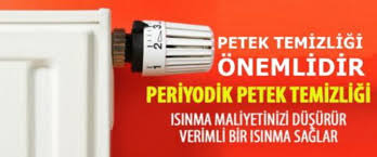 Kartal Petek Temizleme Servisi - 0216 386 47 39
