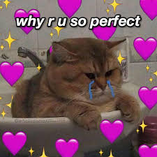 Why Comment Section Is Followers Only Cute Memes Cute Cat Memes Cute Love Memes