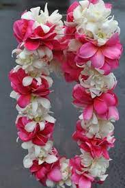 Happy Lei Day This Is One Of My Favorites White Tuberose With Pink Plumeria Hawaiian Lei Hawaiian Flowers Leis