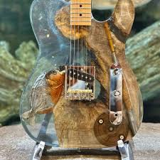 Image result for Pink 1964 Montgomery Ward