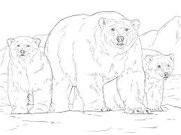 Baby bear in the zentangle style stock vector illustration of. Realistic Polar Bears Coloring Page Free Printable Coloring Pages For Kids