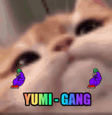 By now you've probably seen that viral video of the lawyer who accidentally turned himself into a cat during an important zoom hearing. Zoom Cat Gifs Tenor