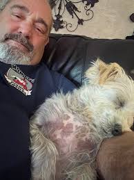 Monte's Piano Services