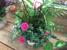 Check spelling or type a new query. Maplewood Farm Market Valentine S Day Ship Saves