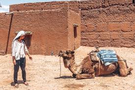 Many pay as you go plans now even offer unlimited data service. 15 Useful Morocco Travel Tips For Your First Time The Travel Quandary