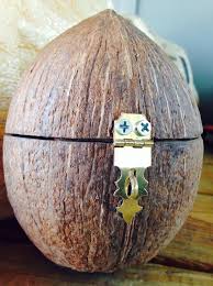 Coconut Shell Jewelry Box Diy Coconut Shell Crafts Diy Coconut Shell Crafts