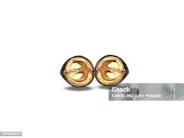 Image result for Coula edulis