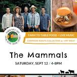 The Mammals