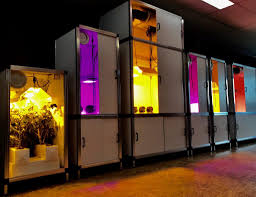 But you need to take extra steps to provide the best growing conditions. Everything You Need To Know About Grow Boxes Ledgrowshop