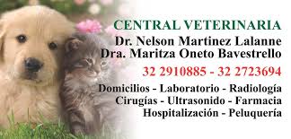Central Veterinaria Martinez Oneto