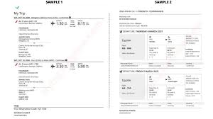 Check your turkish airlines flight status, routes, and other. Dummy Ticket For Visa Application Start From 10 Get Free Cover Letter
