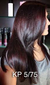 Wella Mahogany Brown Red Plum Color Toner Formula Hair Color For Black Hair Hair Color Mahogany Mahogany Hair