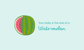 We can also form a simple proportion to calculate the result: 39 Weeks Pregnant Symptoms And Baby Development Pampers
