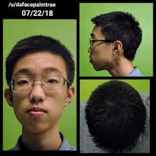 This haircut should be pretty blended, so longer sides might be better, although the sides can still be clipper cut. Hairstyle Advice For Straight Thin Asian Hair Profile Malehairadvice