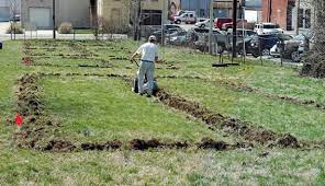 When starting a new garden from scratch, think about where you can plant companion plants to attract pollinators and repel pests. How To Start A Garden From Scratch Hobby Farms