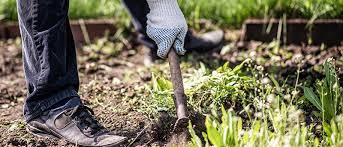 We did not find results for: What Do Spring Fall Yard Clean Up Include