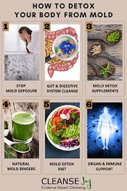 How could mold be affecting my body like this? call me uninformed about mold, because that's exactly what i was. How To Detox Your Body From Mold Naturally Using Diet Supplements