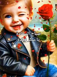 صباح-السعادة-والهنا-وراحة البال#صباحكم-فيروزي#قهوتي #