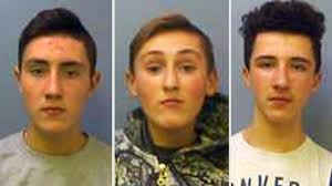 Brothers killed pets and abused neighbours