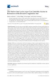 Ave , kurshskaya kosa… petersburg dreams on hellas, venice, palmyre. Pdf The Native Ant Lasius Niger Can Limit The Access To Resources Of The Invasive Argentine Ant
