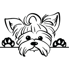 Showing 12 coloring pages related to. Yorkie Coloring Pages Best Coloring Pages For Kids