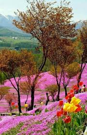 Ivy On Twitter Beautiful Nature Beautiful Landscapes Beautiful Places