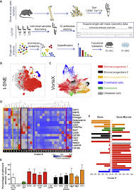 Chemotherapy drug treatment for other. Stress Induced Changes In Bone Marrow Stromal Cell Populations Revealed Through Single Cell Protein Expression Mapping Sciencedirect